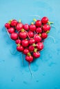 Heart shape made of radish on blue board Royalty Free Stock Photo