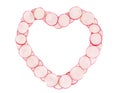 Heart shape made of radish slices. Royalty Free Stock Photo