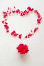 Heart Shape made by red carnation petals