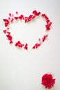 Heart Shape made by red carnation petals