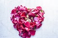 A heart shape made with rose petals celebrating the VALENTINE`S DAY on a silver/white wooden surface. Royalty Free Stock Photo