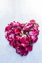 A heart shape made with rose petals celebrating the VALENTINE`S DAY on a silver/white wooden surface. Royalty Free Stock Photo