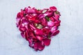 A heart shape made with rose petals celebrating the VALENTINE`S DAY on a silver/white wooden surface. Royalty Free Stock Photo