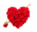 Heart Shape Made Of Rose Petals With Long Stemmed Royalty Free Stock Photo