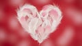 Heart Shape Made of White Feathers Royalty Free Stock Photo