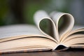 The heart shape of the opened page of the previous book on the green background