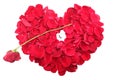 Heart shape of petals with a ring Royalty Free Stock Photo