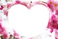 Heart shape frame with pink cherry blossom Royalty Free Stock Photo