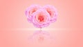 Heart shape from a pink rose Royalty Free Stock Photo