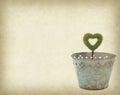 Heart shape plant glow in metal garden pot on grunge textured Royalty Free Stock Photo