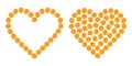 Heart shape ripe apricots Contour and fill. Summertime fruits colorful design element idea. Template