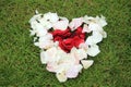 Heart shape from rose petals against grass background. Royalty Free Stock Photo