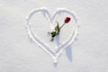 Heart shape scarfed in snow with red rose Royalty Free Stock Photo