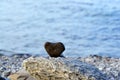 Heart shape stone against background of beach. Summer sunny day. Love, wedding and Valentine day concept. Finding Royalty Free Stock Photo