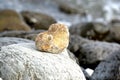 Heart shape stone against background of beach. Summer sunny day. Love, wedding and Valentine day concept. Finding Royalty Free Stock Photo