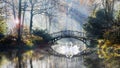 Heart shape of swans love mate for life in scenic view of misty pond autumn romantic landscape with beautiful old bridge in the