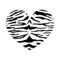 Heart shape with tiger print texture. Abstract design element with wild animal tiger stripes skin pattern. Vector black Royalty Free Stock Photo
