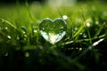 heart shape water drop in grass