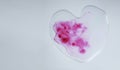 Heart Shape Water Drops on White Background. World Water Day Concept. CSR, Corporate Social Responsibility or CSC, Corporate