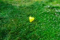 Heart shape yellow ballon on colorful grass Royalty Free Stock Photo