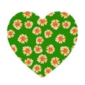 Heart shape with yellow orange daisies Royalty Free Stock Photo