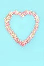 Heart Shaped Apple Blossom Spring Wreath with Pearls Royalty Free Stock Photo