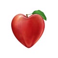 Heart shaped apple with leaf realistic illustration isolated on white background.