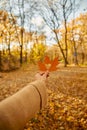 Heart shaped autumn maple leaf in hand Royalty Free Stock Photo