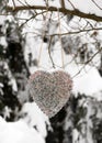 Heart shaped bird feeder made with peanuts, sunflower seeds and coconut fat hanging on the tree. Royalty Free Stock Photo