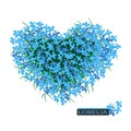 Heart shaped of blue lobelia flowers. Abstract romantic bouquet on white background