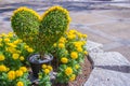 Heart-shaped bonsai with yellow flowers decorated in the garden. Royalty Free Stock Photo