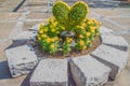 Heart-shaped bonsai with yellow flowers decorated in the garden.