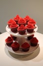 heart shaped bowls of red icing