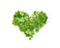 Heart shaped of bright green small shamrock leaves Royalty Free Stock Photo