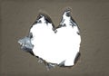 Heart shaped burned hole in paper. Royalty Free Stock Photo