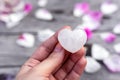 Heart-shaped clear quartz crystal in a female hand, pink rose petals background Royalty Free Stock Photo