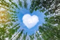 Heart shaped cloud over blue sky surrounded by pine trees. White cloud in the shape of hearts in the blue sky surrounded by pine Royalty Free Stock Photo