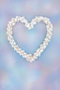 Heart Shaped Cockle Shell Wreath on Rainbow Sky Background Royalty Free Stock Photo