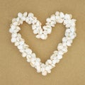 Heart Shaped Cockle Shell Wreath Royalty Free Stock Photo