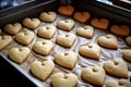 Heart shaped cookies on baking tray