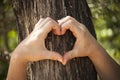 Heart shaped female hands.