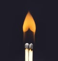 Heart shaped flame coming from a pair of burning matchsticks on a black background