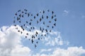Heart shaped flock of birds Royalty Free Stock Photo