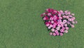 Heart-shaped flower-garden among a green grass 2