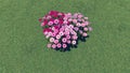 Heart-shaped flower-garden among a green grass 1