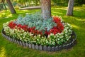 Heart-shaped flower garden in a public Park. Many flowers planted in the shape of a heart. Symbol of love in the Park Royalty Free Stock Photo