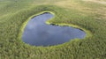 the heart-shaped forest lake surrounded by trees and an emerald line of mosses on the coastline