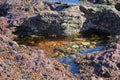 Nature Heart-shaped Natural beach Rock-pool Phillip Island Victoria Royalty Free Stock Photo