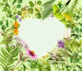 Heart-shaped frame with healing plants Royalty Free Stock Photo