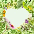 Heart-shaped frame with healing plants Royalty Free Stock Photo